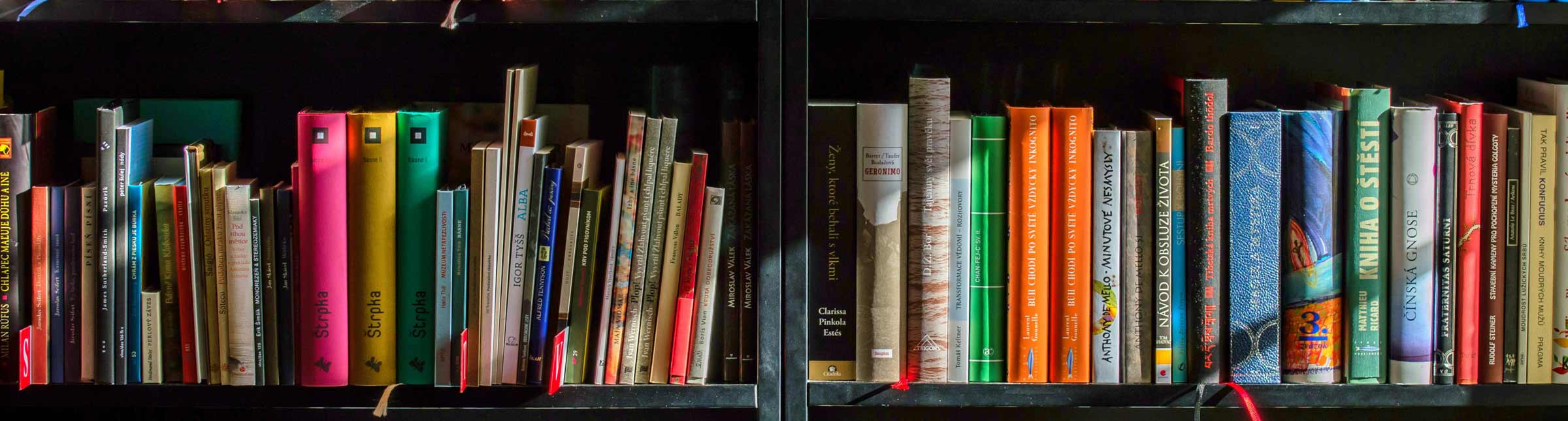 Common Book Initiative